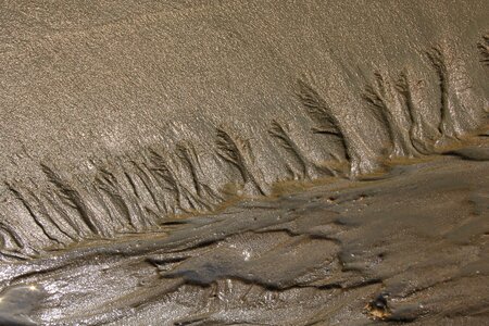 Nature sand mud flat