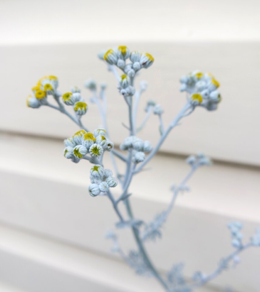 Decorative decor pattern