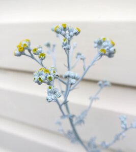 Decorative decor pattern
