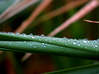 Reflection drip wet
