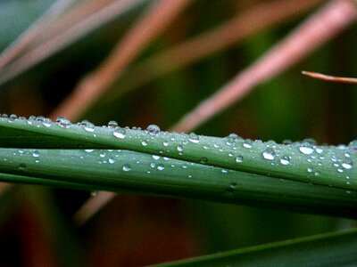 Reflection drip wet photo