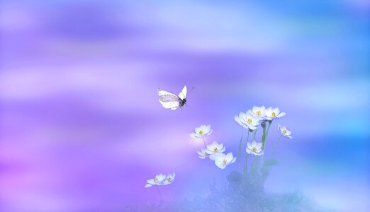 Bloom nature spring
