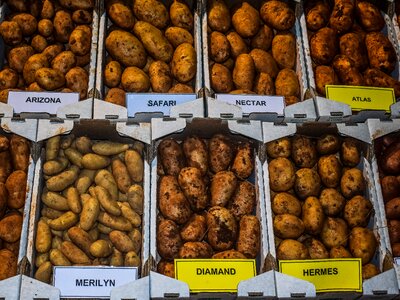 Varieties different brown vegetables