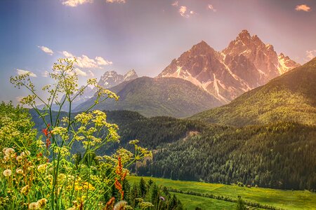 Alpine south tyrol meadow photo