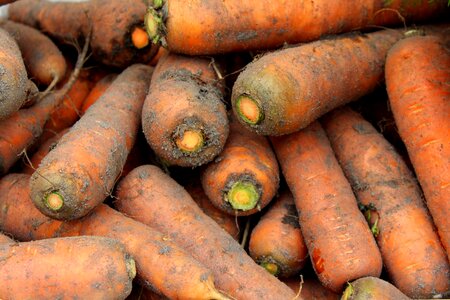 A vegetable collections autumn