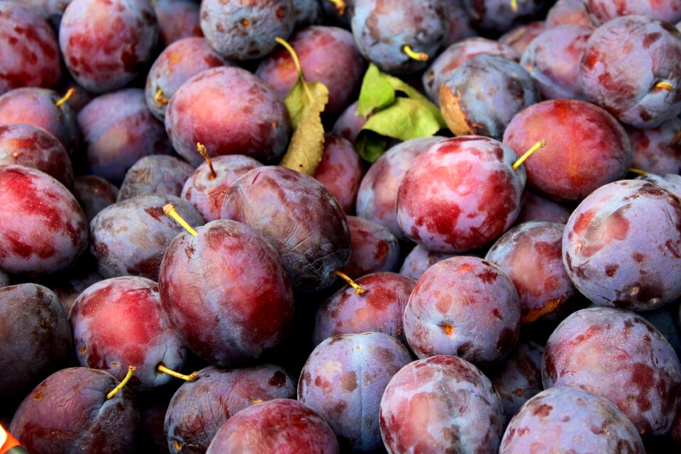 Food mature vitamins
