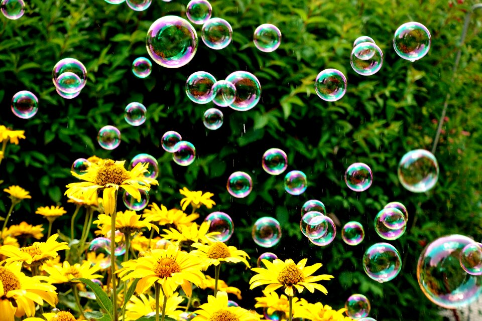 Summer flying make soap bubbles photo