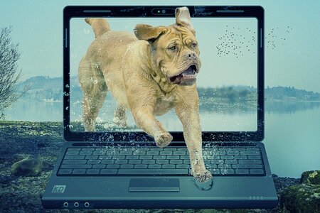 Laptop landscape water