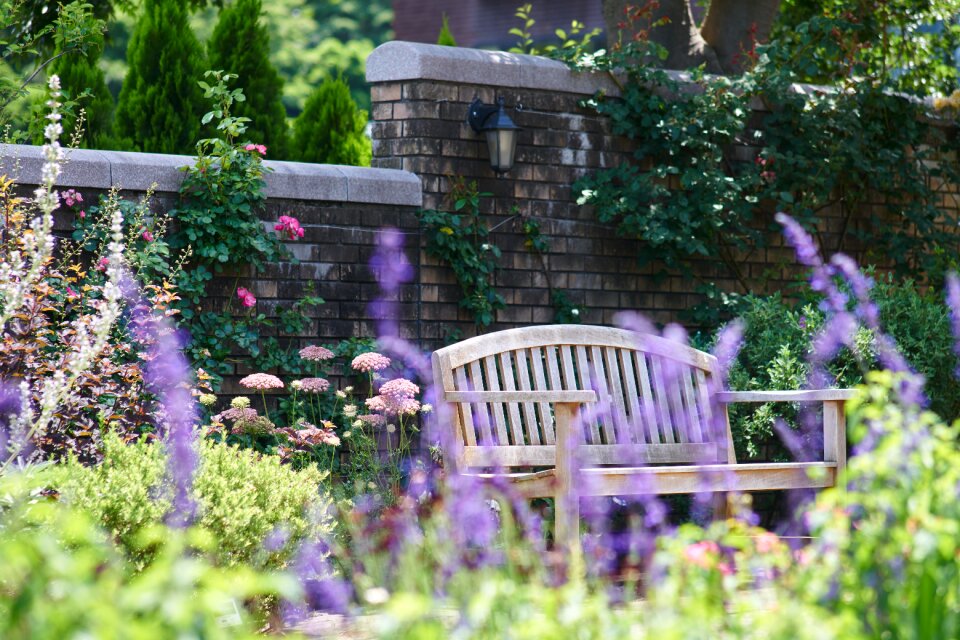 Plant flower bed japan