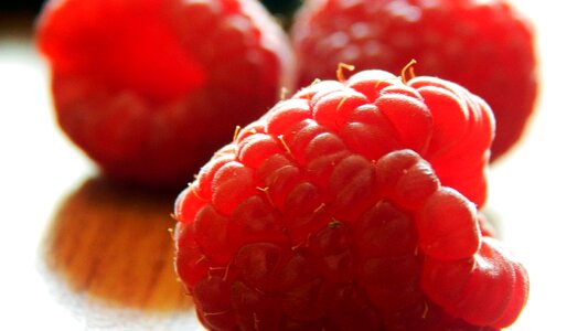 Food raspberry succulent