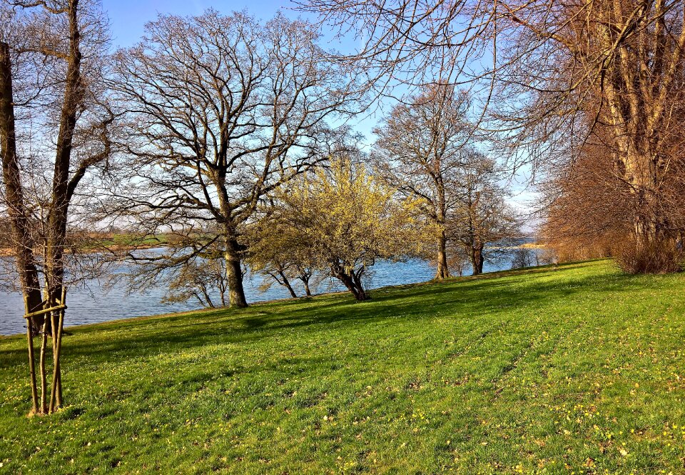 Denmark spring park
