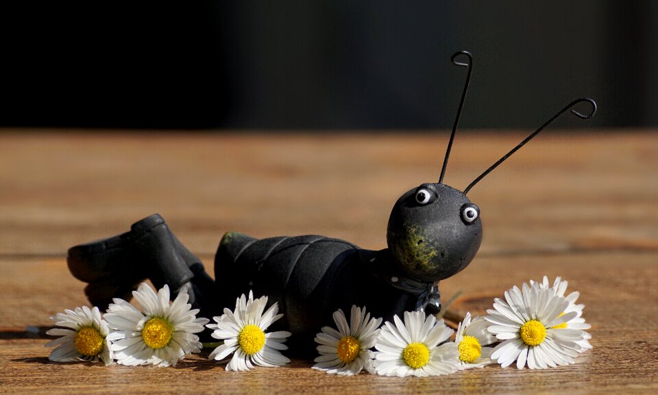 Viridissima grasshopper flip flowers