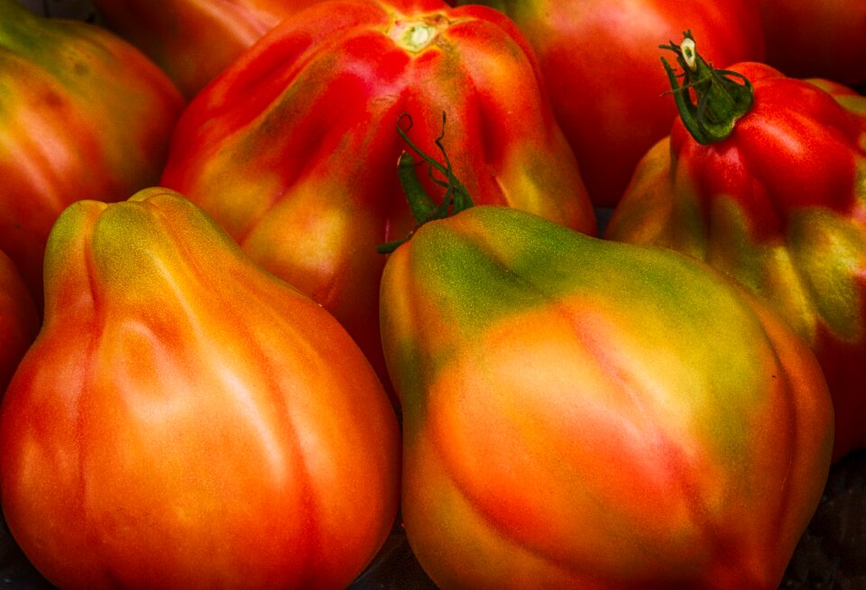 Fresh healthy vegetables