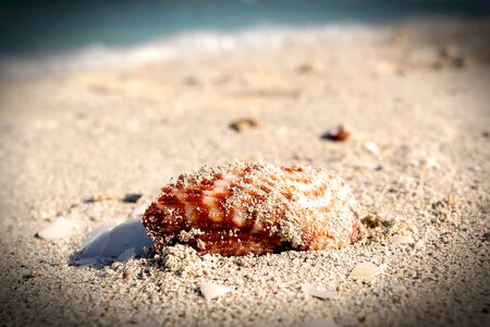 Sea coast ocean
