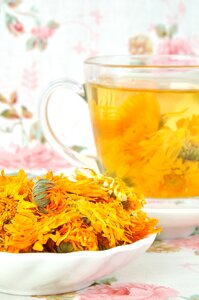 Behalf of the tea tea drink chrysanthemum photo