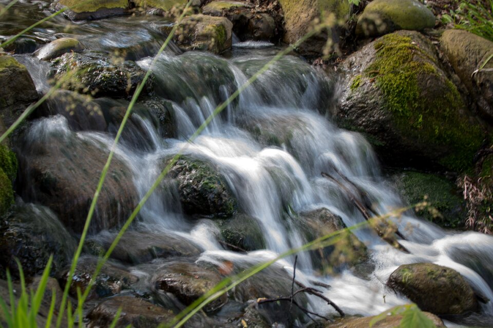 Landscape river bach