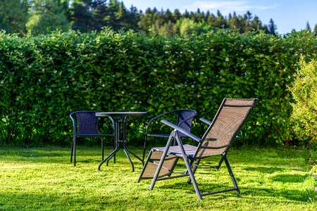 Lawn hedge a set of garden
