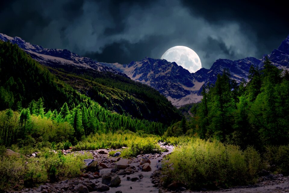 Nature night landscape