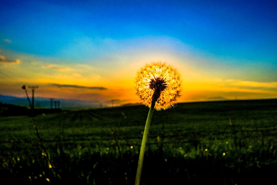 Sky heaven meadow