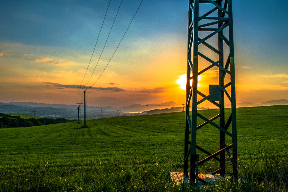 Field grass view sun