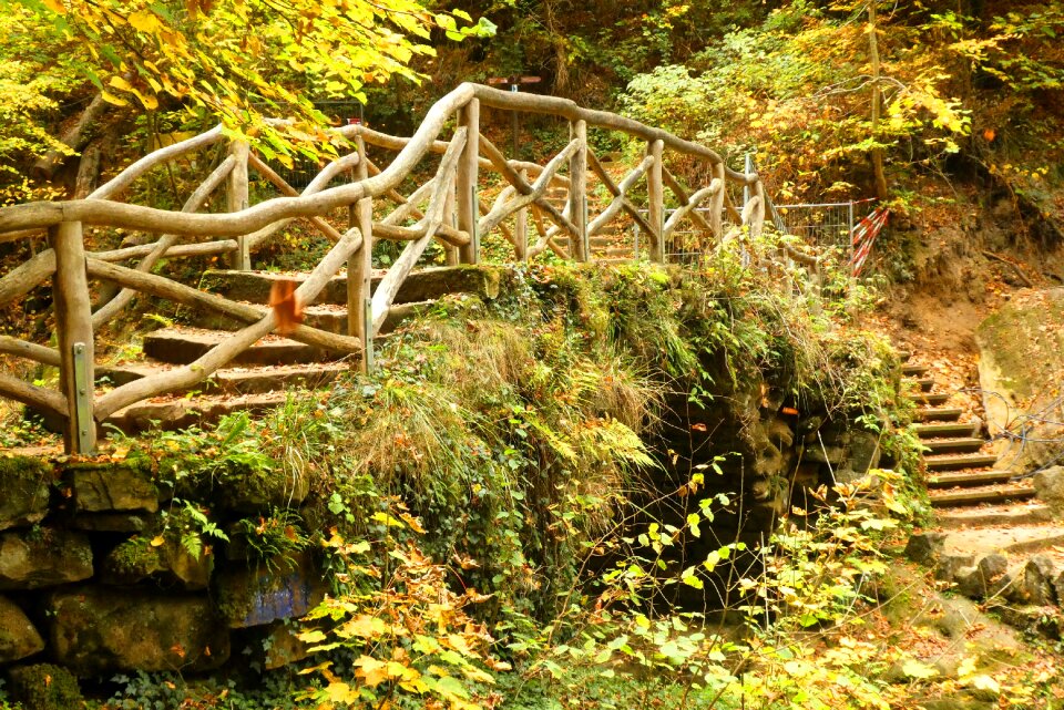 Hiking autumn path