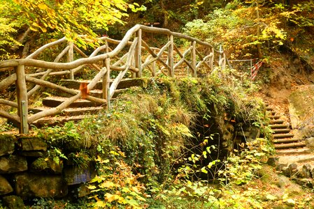 Hiking autumn path photo