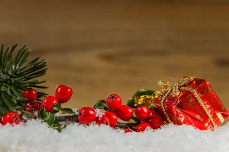 Berries fir tree candles