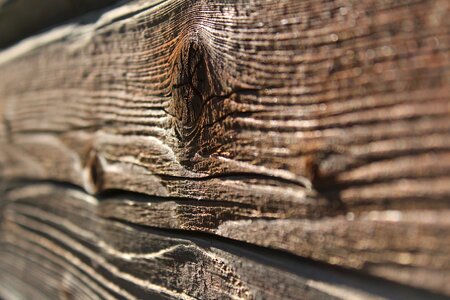 Texture old wood photo