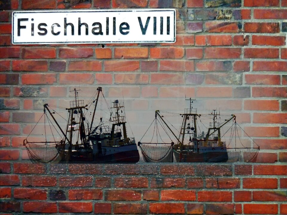 Fresh fish fish hall
