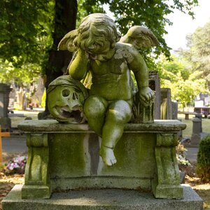 Mourning angelic wings