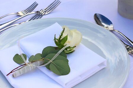 Celebration banquet table cover