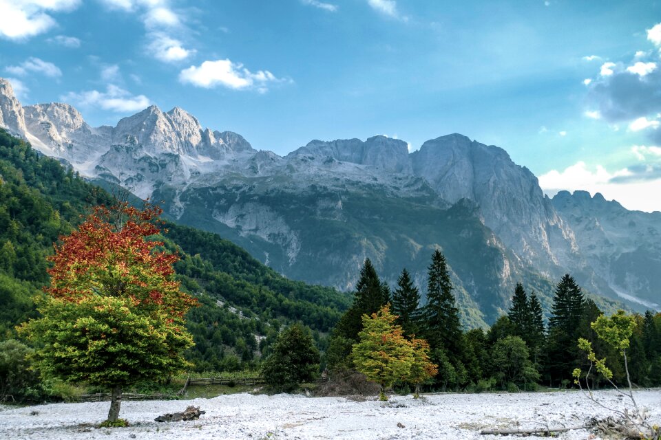 Albania clouds forest