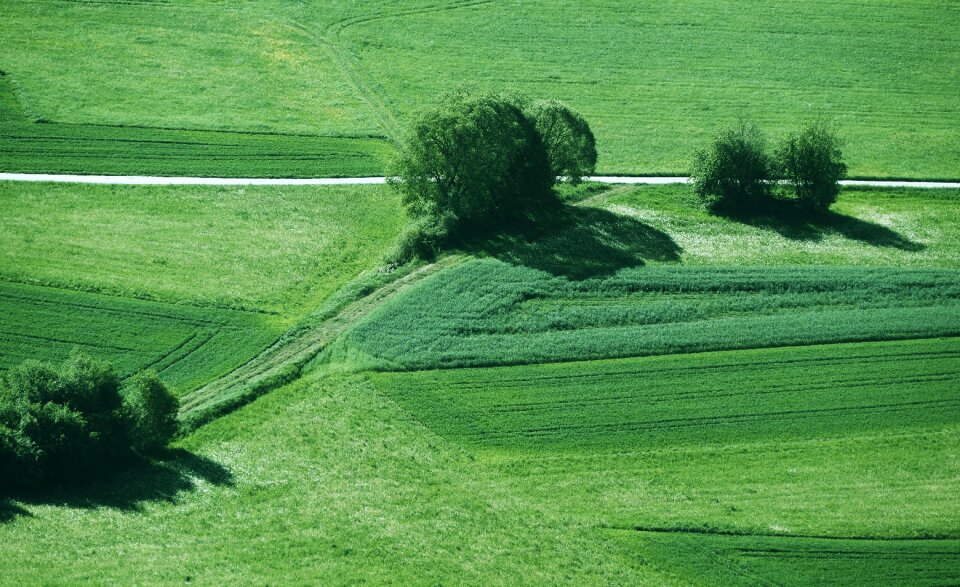 Lines landscape sunny