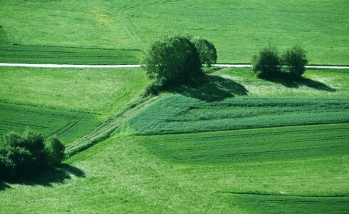 Lines landscape sunny photo