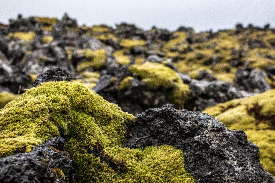 Green landscape stones