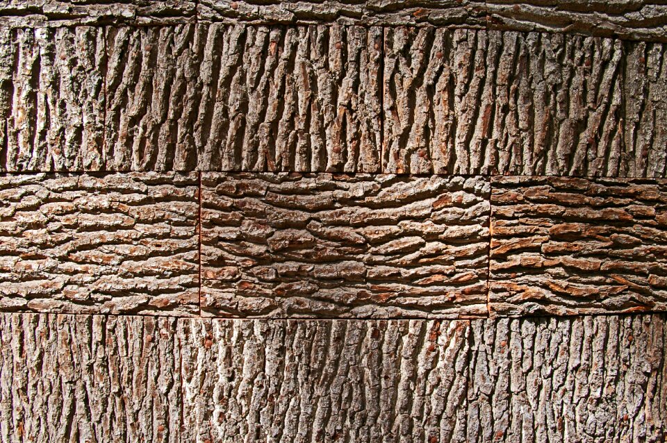Wood nature structure photo