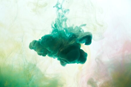 Paint watercolor art