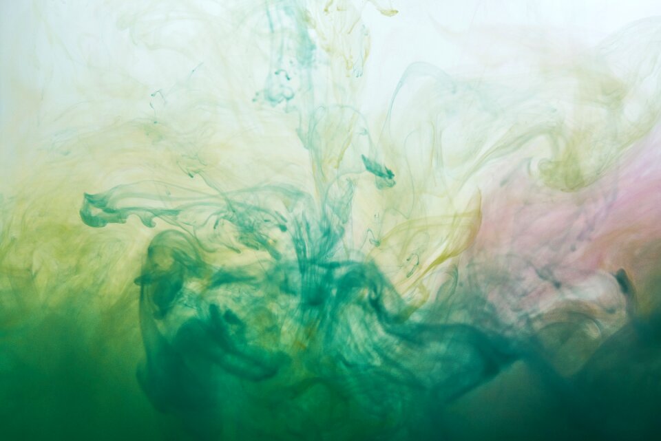 Paint watercolor art