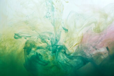 Paint watercolor art