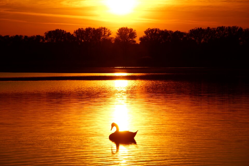Water nature landscape