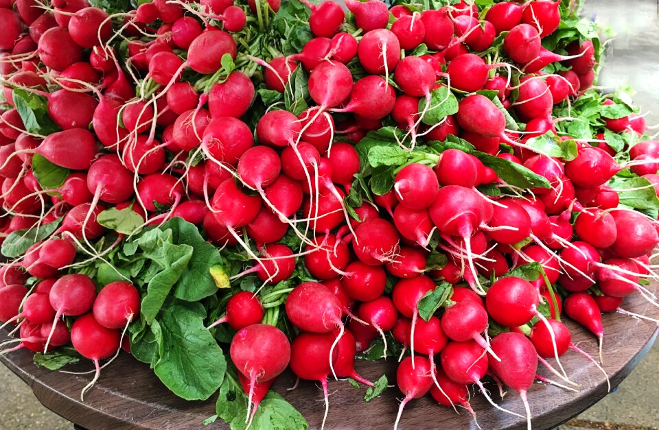 Fresh summer harvest