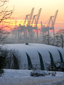 Elbe cranes winter