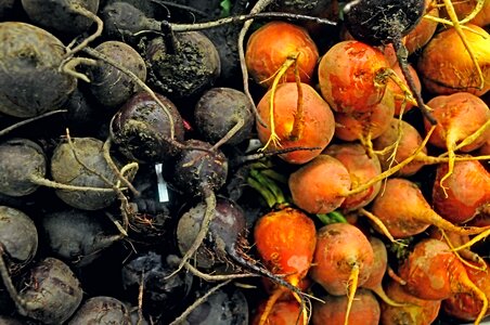 Vegetarian healthy food