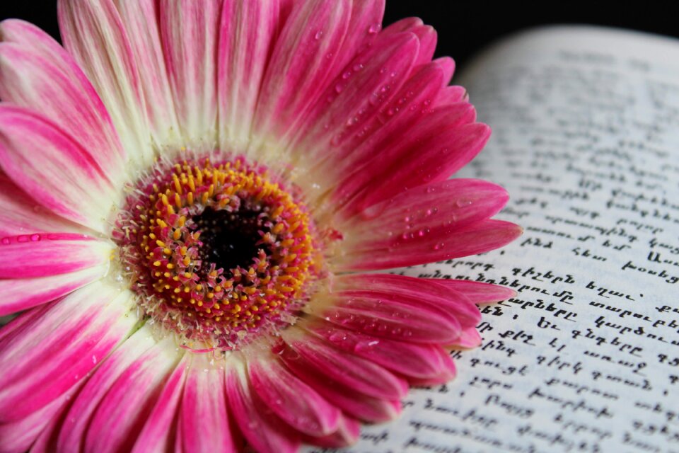 Water drop macro book