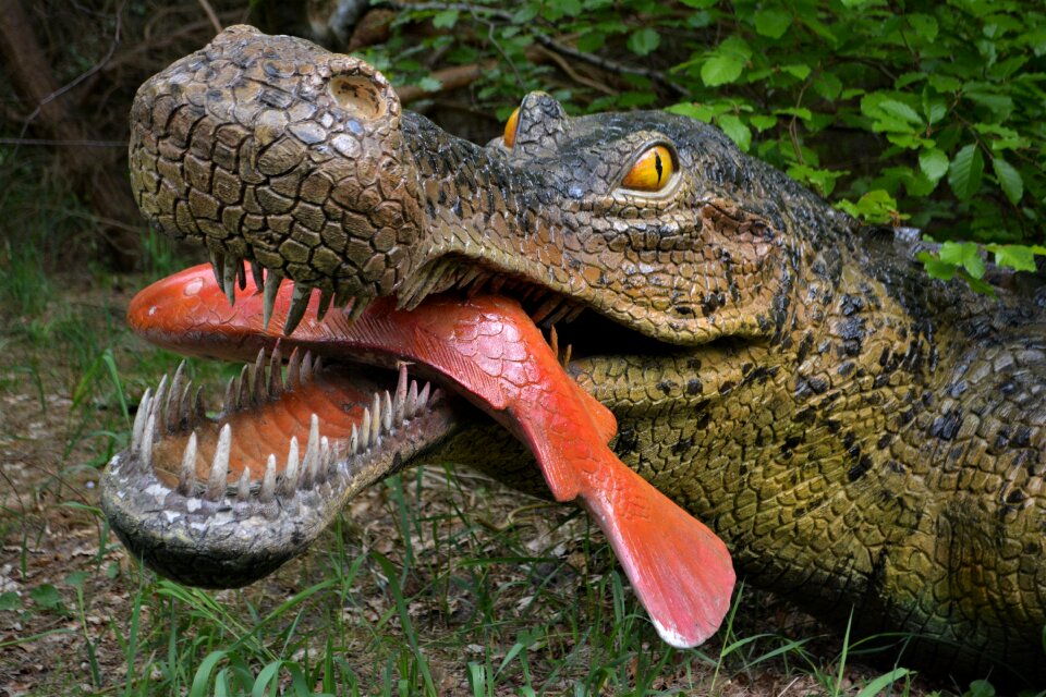Dino-park wedde netherlands
