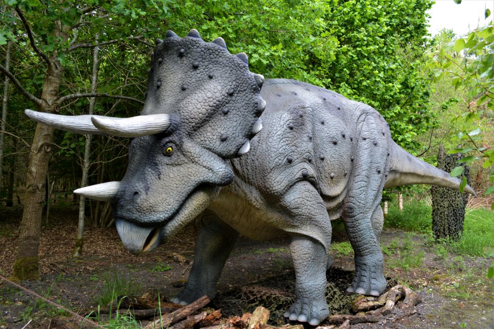 Dino-park wedde netherlands