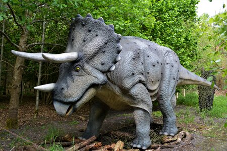Dino-park wedde netherlands
