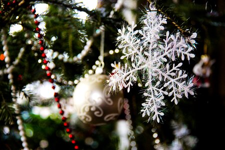 Snowflake celebration holidays
