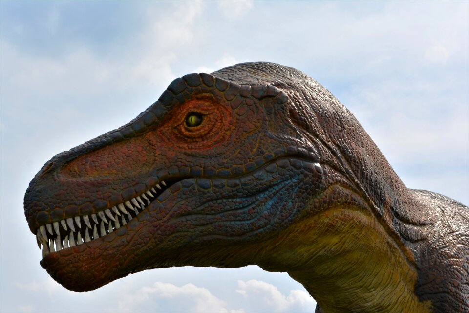 Dino-park wedde netherlands