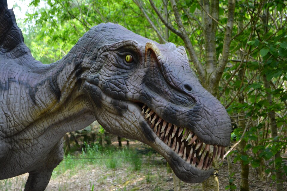 Dino-park wedde netherlands